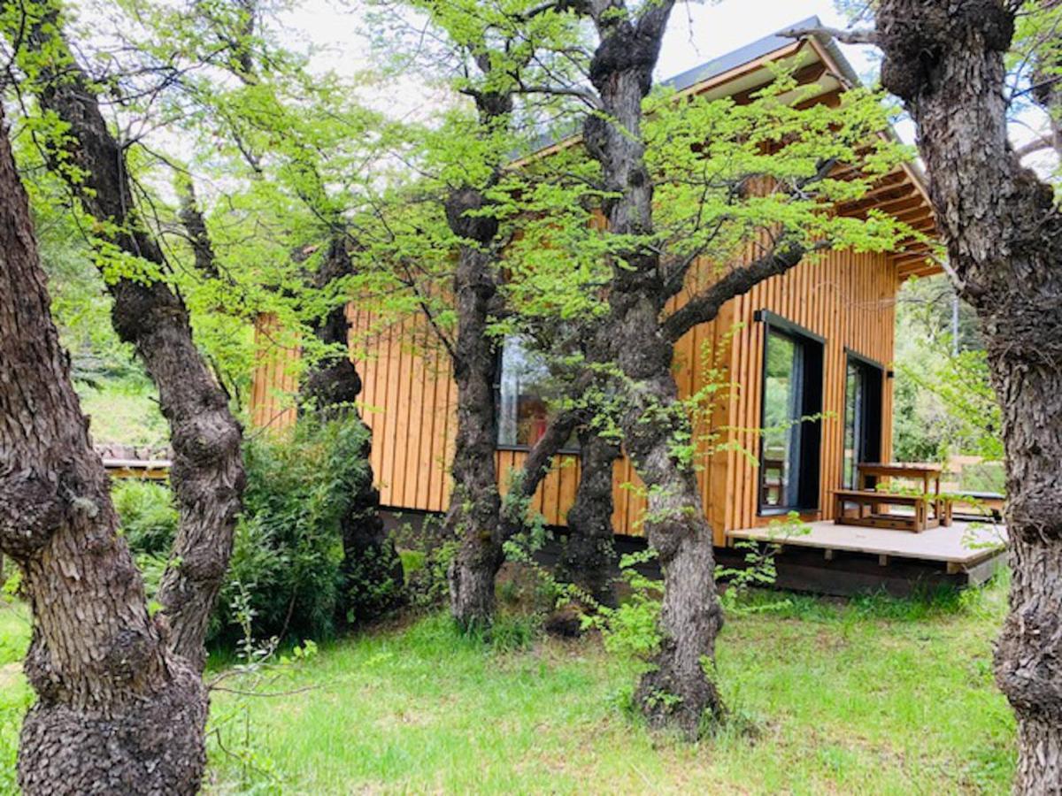 Kingfisher de los Andes Villa Meliquina Exterior foto